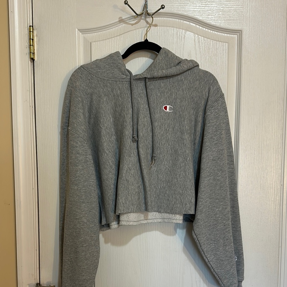 Champion Gray Cropped Hoodie